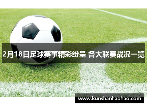 2月18日足球赛事精彩纷呈 各大联赛战况一览 2月18日足球赛事精彩纷呈 各大联赛战况一览